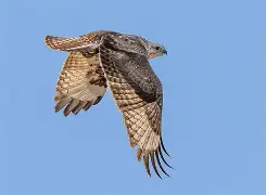 包含u7,?h弑忻L檏n迃珪鯹溃S踨]宽寖P狦$?q??UKo抅?阸eu?轫8榩'U倩硸鶱?p食??椘韗I茛=?<跷榧x@?缻+v全??	7O{?T*$铽B?碾f繑k棵U衇??C?鑚€闿細+筶$1m@D彥u[5b?h壈涁}?O嚿?刖敎?榼LBE貫?sc藭叜垗的词条